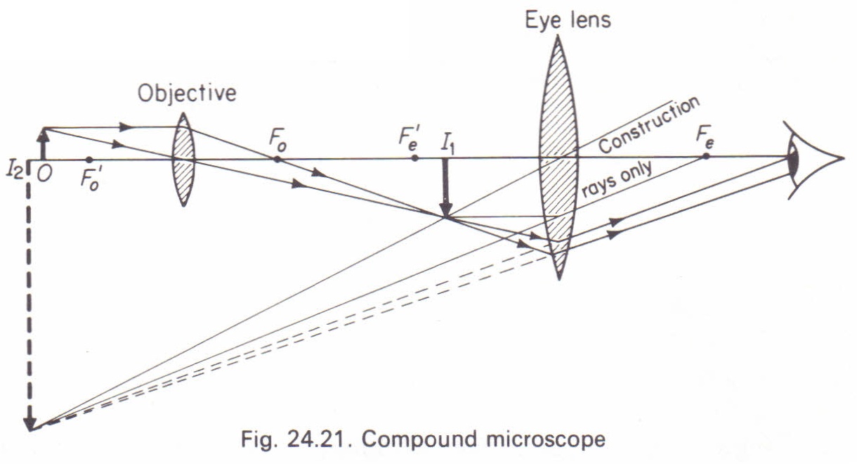 Compound Microscope